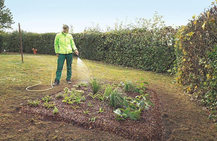 Blumenbeet wird gegossen