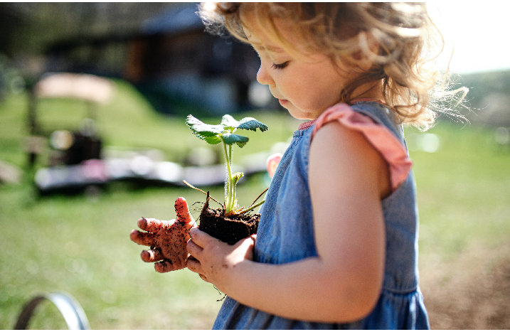 Kleines Mädchen hält eine Jungpflanze