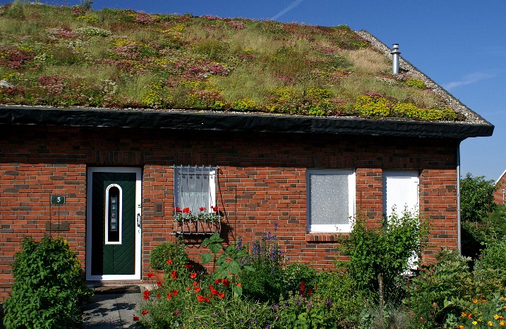 Haus mit Dachbegrünung und Vorgarten