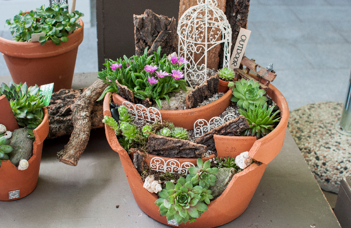 Feengarten in Terracotta-Topf