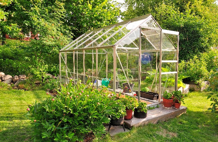 Sommergarten mit Gewächshaus voller Pflanzen.