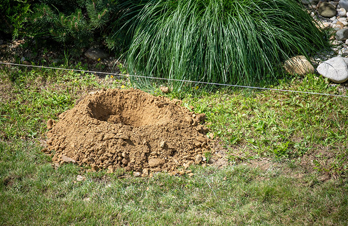 Kunststoff Gartenzaun aufbauen Fundament