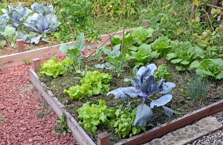 Nutzgarten