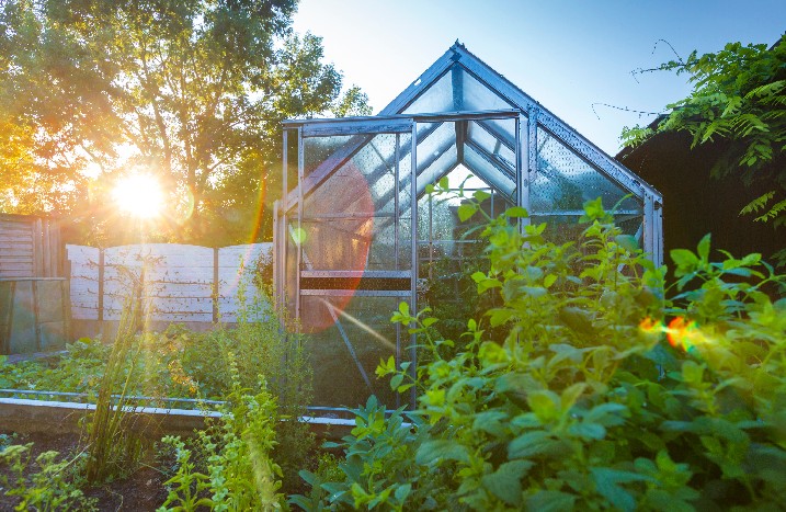Permakultur-Garten mit Gewächshaus