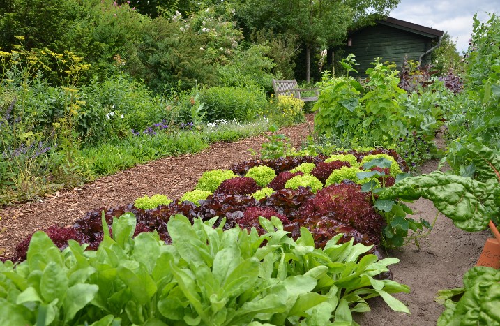 Permakultur-Garten