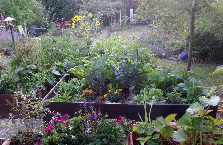 Permakultur-Garten