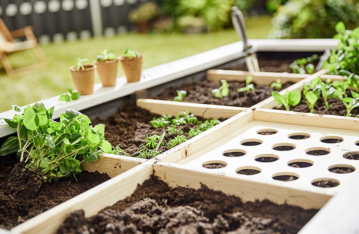 Squarefoot Gardening