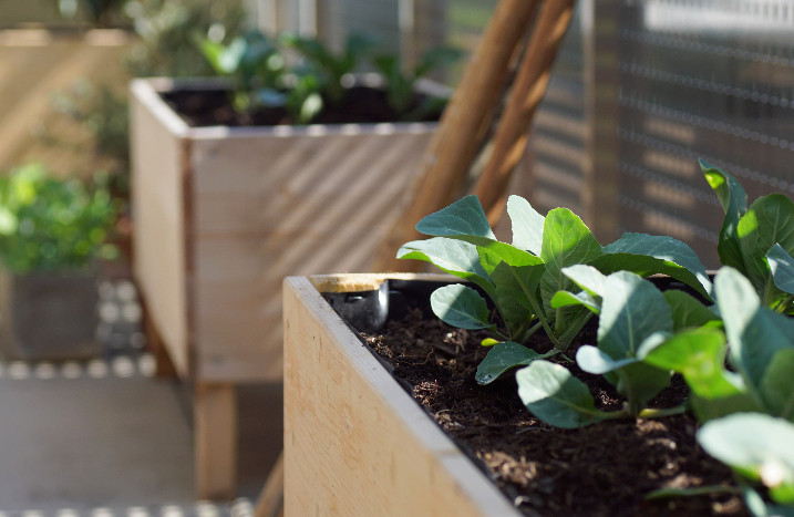 Squarefoot Garden in Form eines Hochbeetes