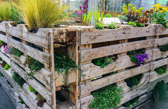Vertikaler Garten aus stehenden Paletten