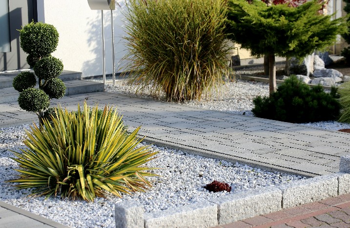 Steingarten mit Ziergehölzen