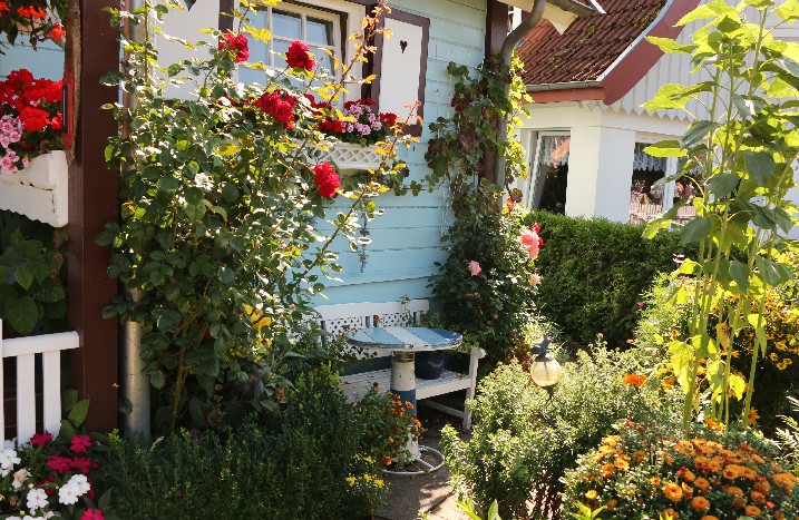 Blumiger Vorgarten