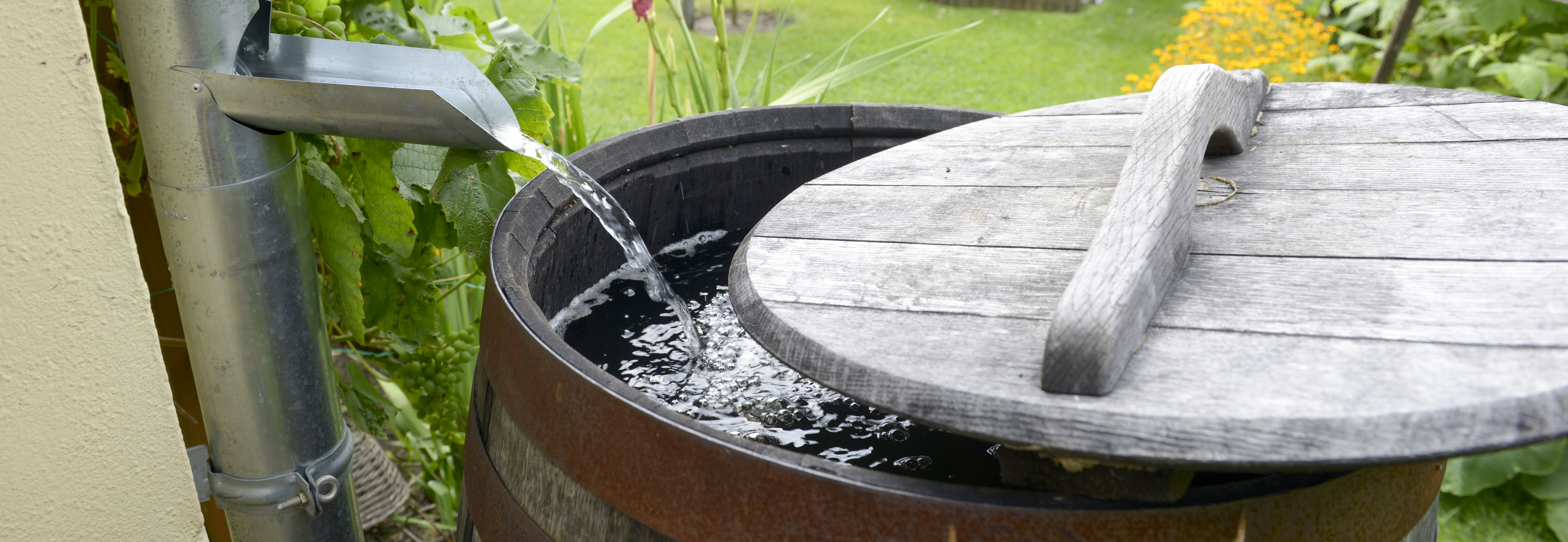 Regentonne anschliessen - so wirds gemacht - Regenwasser im Garten