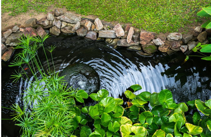 Teich mit Wasserpflanzen und Springbrunnen