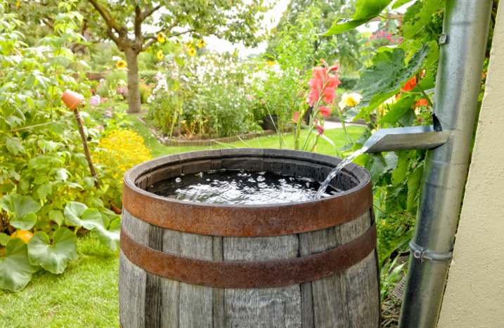 Regenfass aus Holz im Garten mit Regenrinne