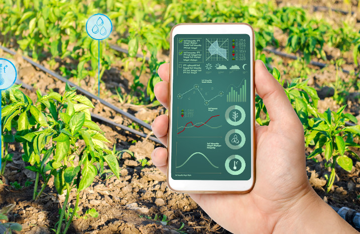 Smartphone vor Beet