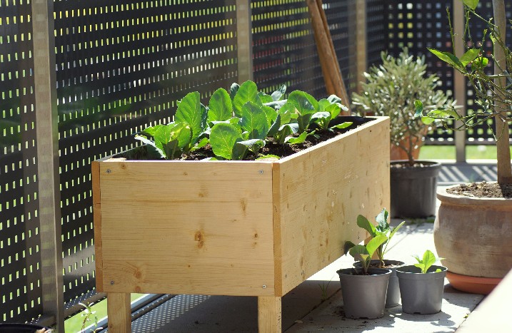 Hochbeet auf dem Balkon
