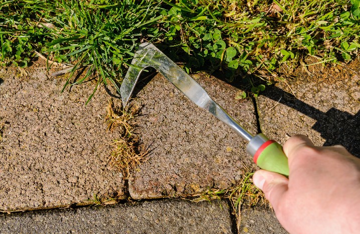 Moos wird mit Fugenkratzer aus der Terrasse entfernt