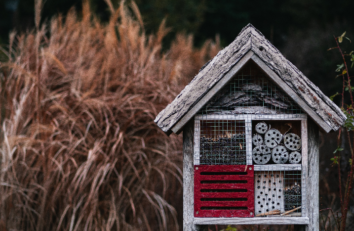 Insektenhotel, teils rot angemalt
