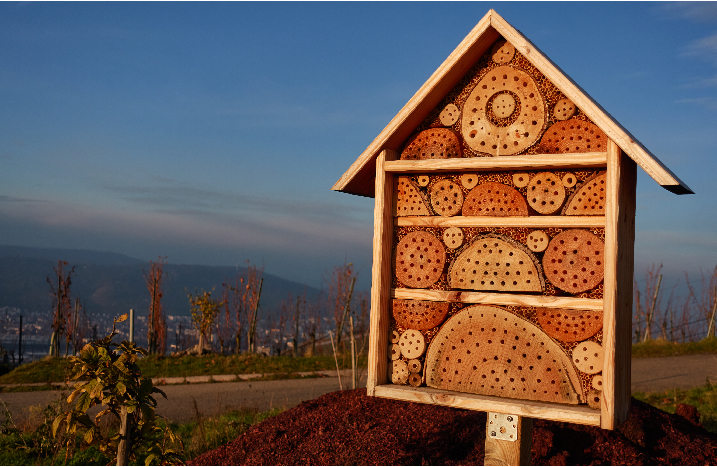 Insektenhotel vor blauem Himmel