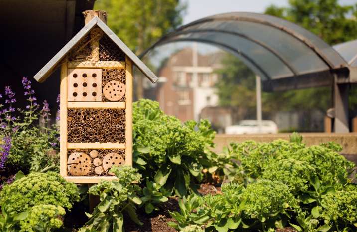 Insektenhotel