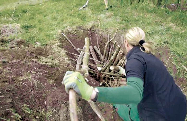 Äste werden ins Loch gelegt.