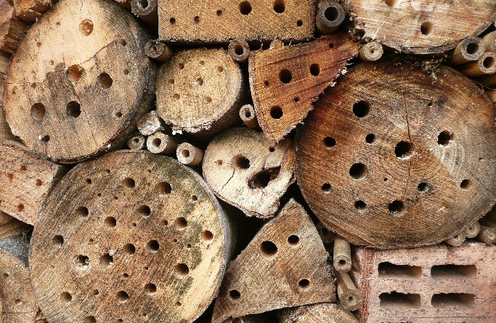 Holzstücke mit Löchern