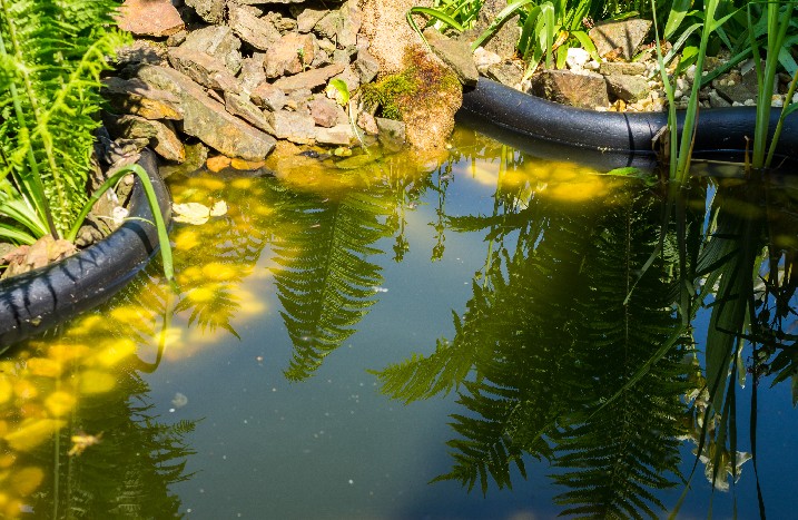 Teich im Garten