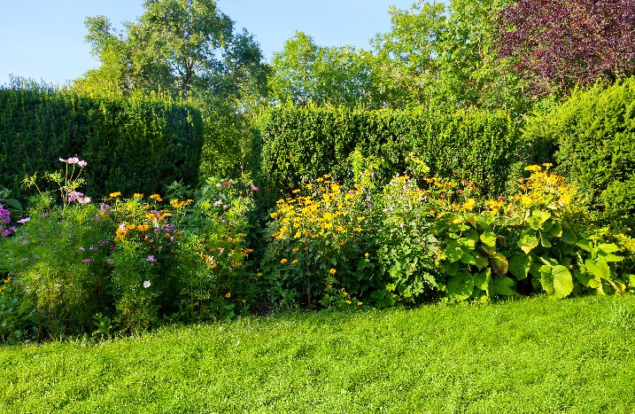 Wildblumenbeet im Garten lockt viele Nützlinge an.