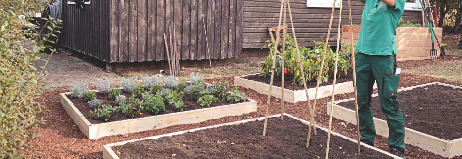 RT Nutzgarten anlegen Header 20 50 943x326 ein Nutzgarten wird angelegt