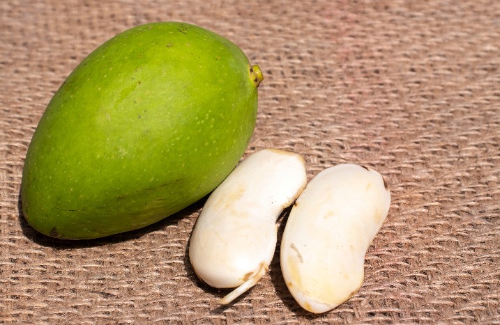 Zwei Mangokerne neben einer unreifen Mango.
