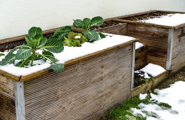 Hochbeet im Schnee