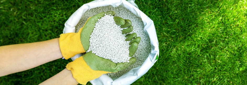 Rasendünger in Beutel auf grüner Wiese