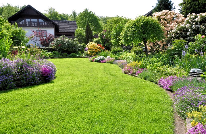 grüner Rasen im Garten eines Hauses