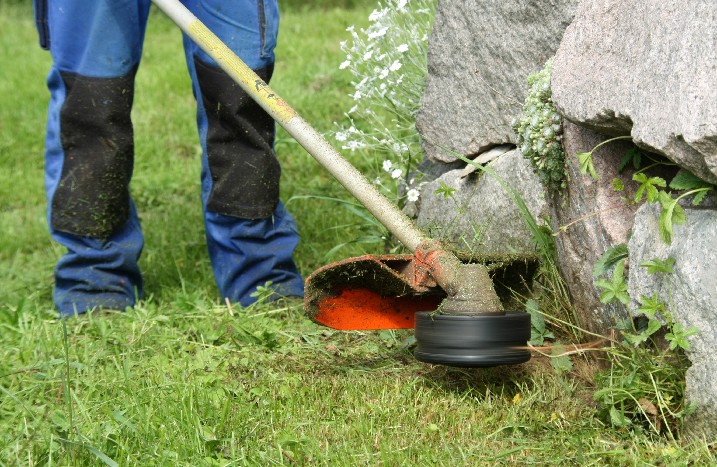 Rasen wird getrimmt