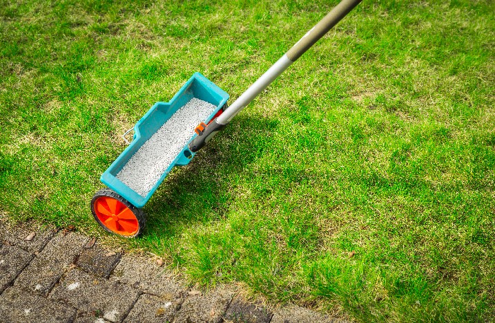 Dünger wird auf dem Rasen verteilt