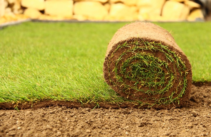 Liegende Rolle Rollrasen