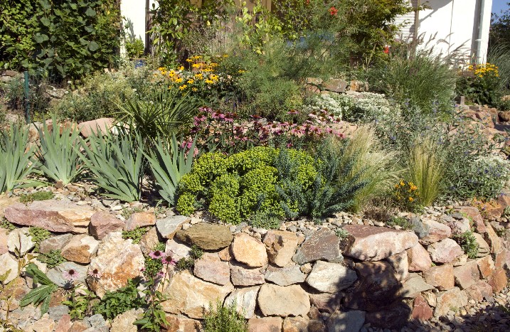 Gartenmauer mit Hochbeet und blühenden Pflanzen.