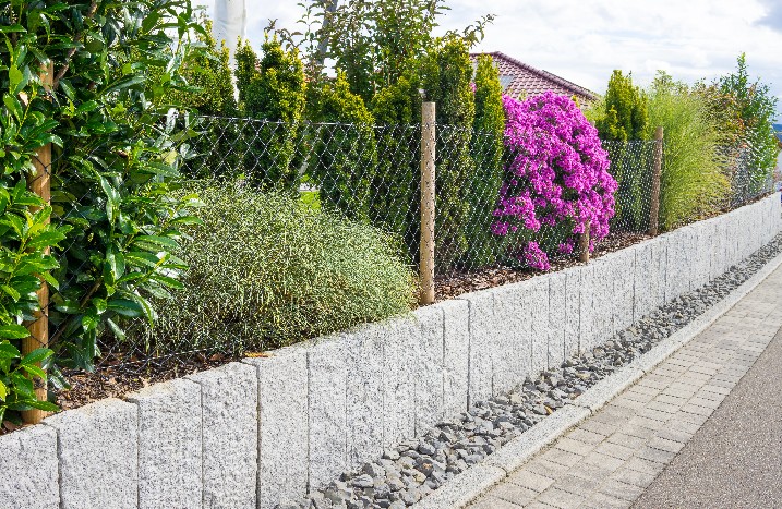Ein bewachsener Maschendrahtzaun grenzt die Straße vom Garten ab.