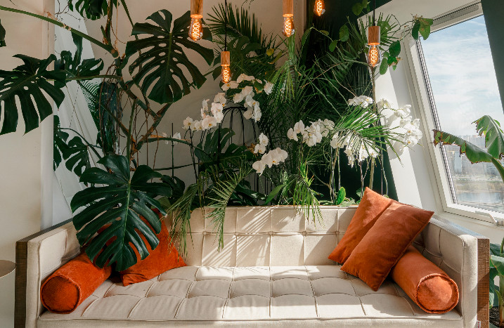 Couch & Pflanzen