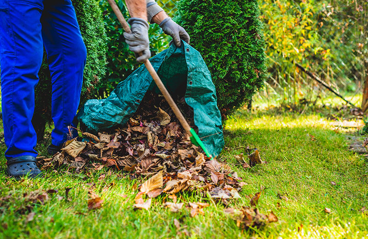 Putzen Checkliste Vorgehen Frühjahr Garten