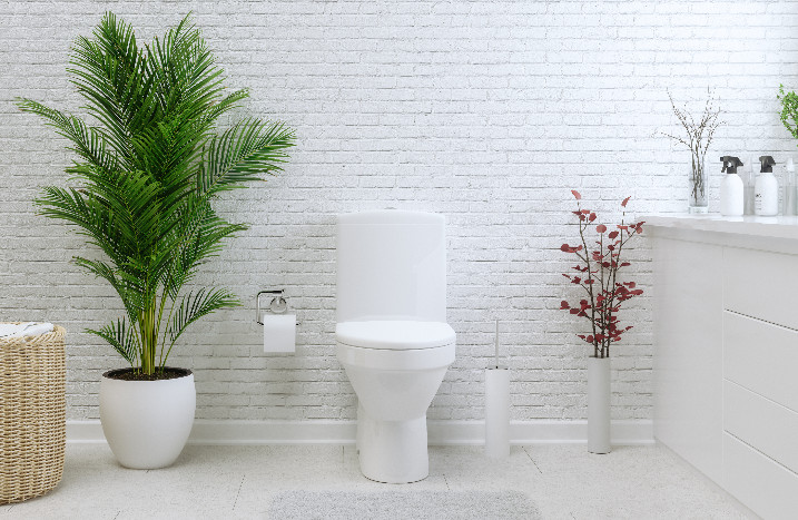 Modernes Bad mit Pflanze