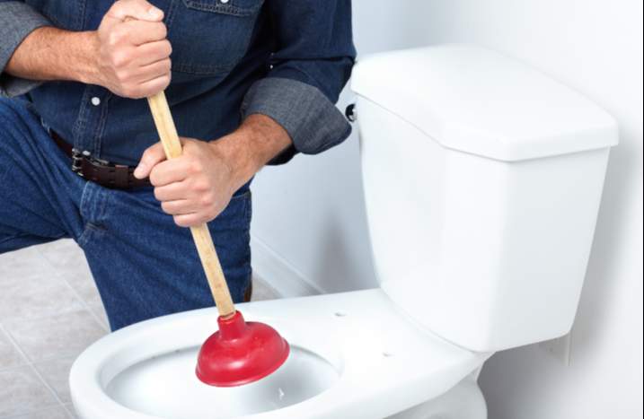 Toilettenpömpel