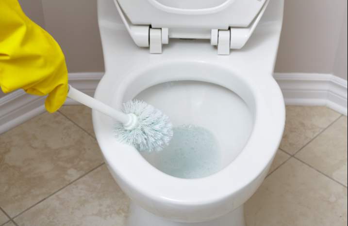 Toilettenbürste in Toilette