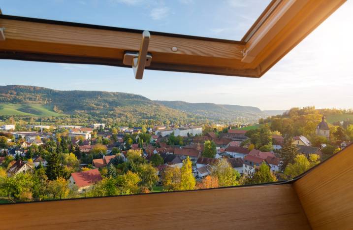 RT Dachfenster 20 51 717x467