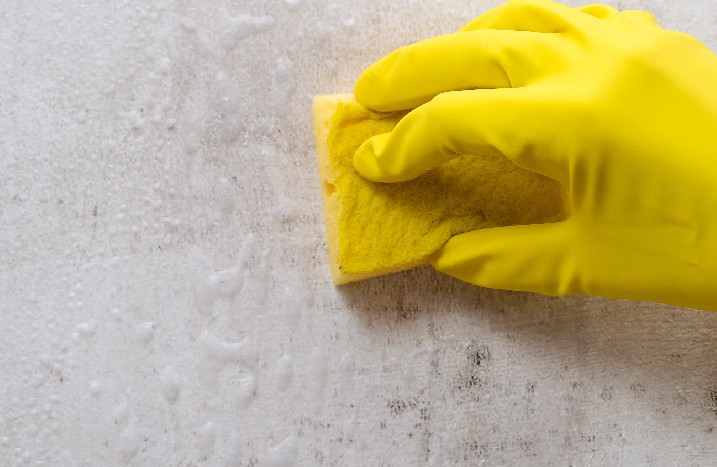 Saugfähigkeitstest Schwamm an Wand Handschuhe