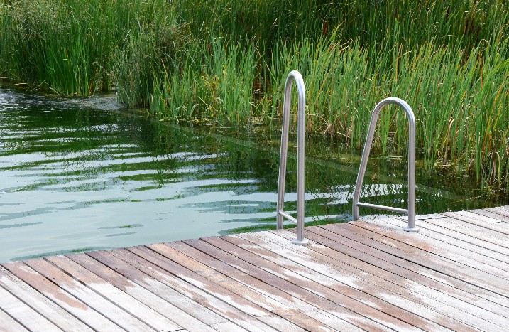 Schwimmteich mit Leiter