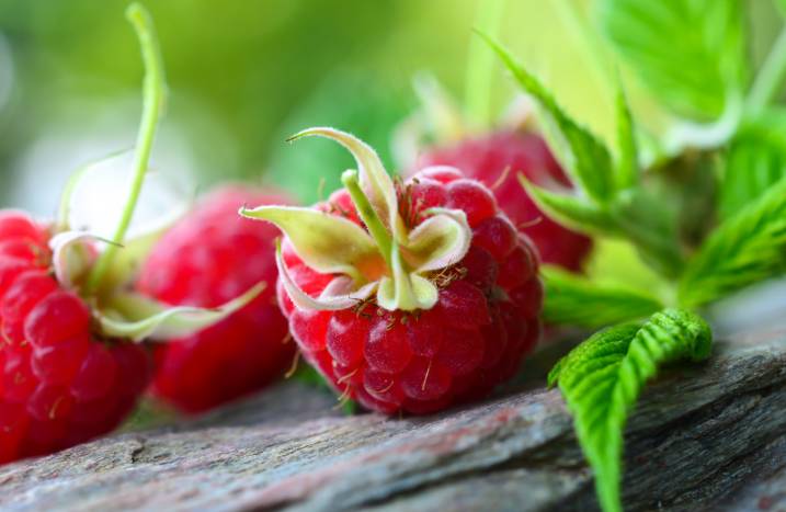 Himbeeren
