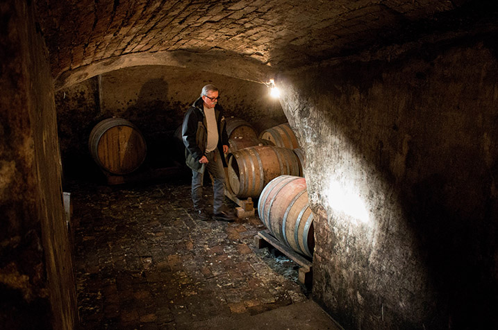 Mann im historichen Weinkeller gefüllt mit Holzfässern