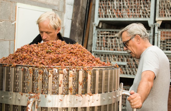 Zwei Männer stehen um einen Behälter voll mit Weintrauben