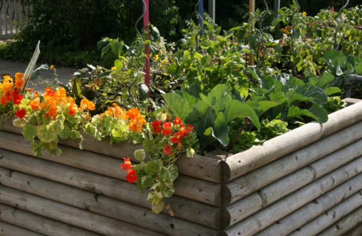 Garten statt Supermarkt: Mit Hochbeeten zum Selbstversorger